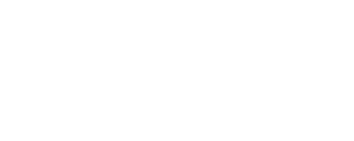 Signature of Felix-Friedrich Stani